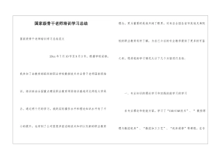 国家级骨干教师培训学习总结