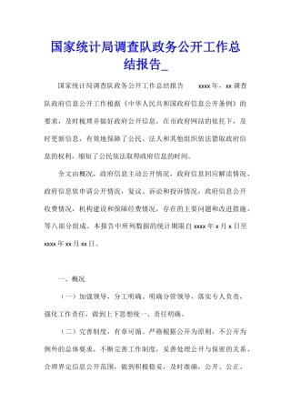 国家统计局调查队政务公开工作总结报告