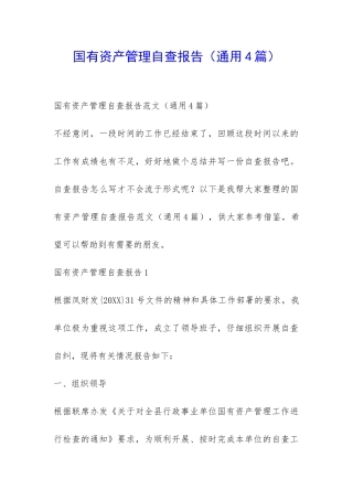 国有资产管理自查报告-