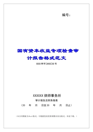 国有资本收益专项检查审计报告格式范文
