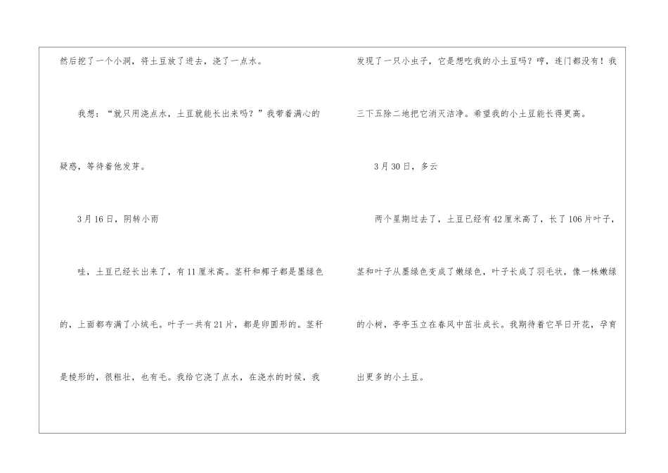 土豆的观察日记_第2页