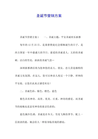 圣诞节营销方案