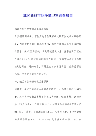 城区商品市场环境卫生调查报告-