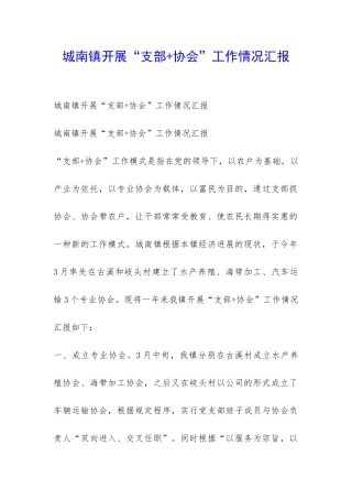 城南镇开展“支部+协会”工作情况汇报-