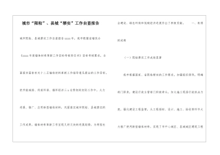 城市“限粘”、县城“禁实”工作自查报告