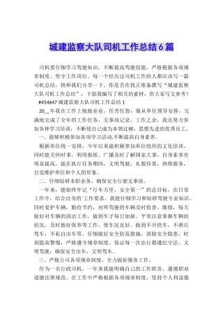 城建监察大队司机工作总结6篇