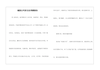 城投公司多元化考察报告