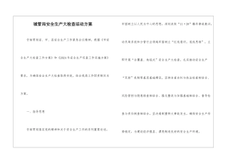 城管局安全生产大检查活动方案