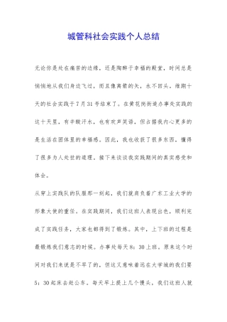 城管科社会实践个人总结-