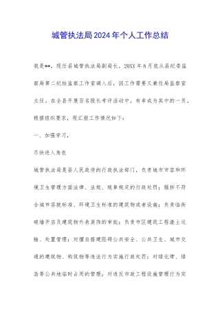 城管执法局2024年个人工作总结-