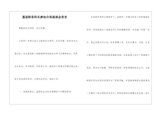 基层财务科长参加分局座谈会发言