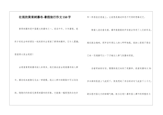 壮观的黄果树瀑布-暑假旅行作文550字