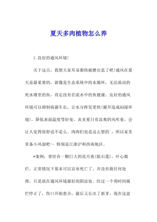 夏天多肉植物怎么养