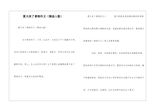 夏天来了景物作文