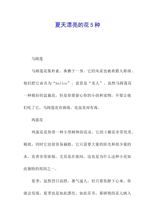 夏天美丽的花5种