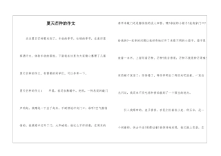 夏天芒种的作文