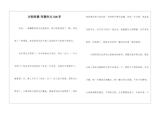 夕阳即景-写景作文550字