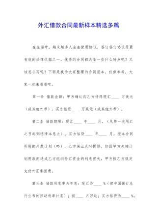 外汇借款合同最新样本精选多篇