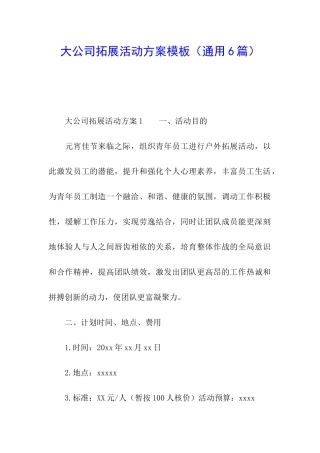 大公司拓展活动方案模板