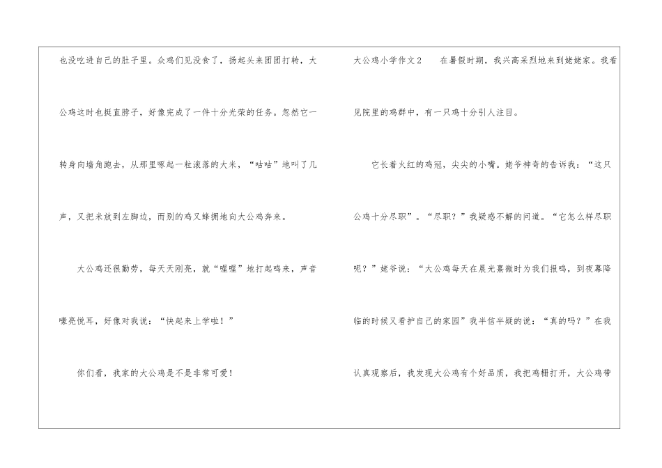 大公鸡小学作文_第2页