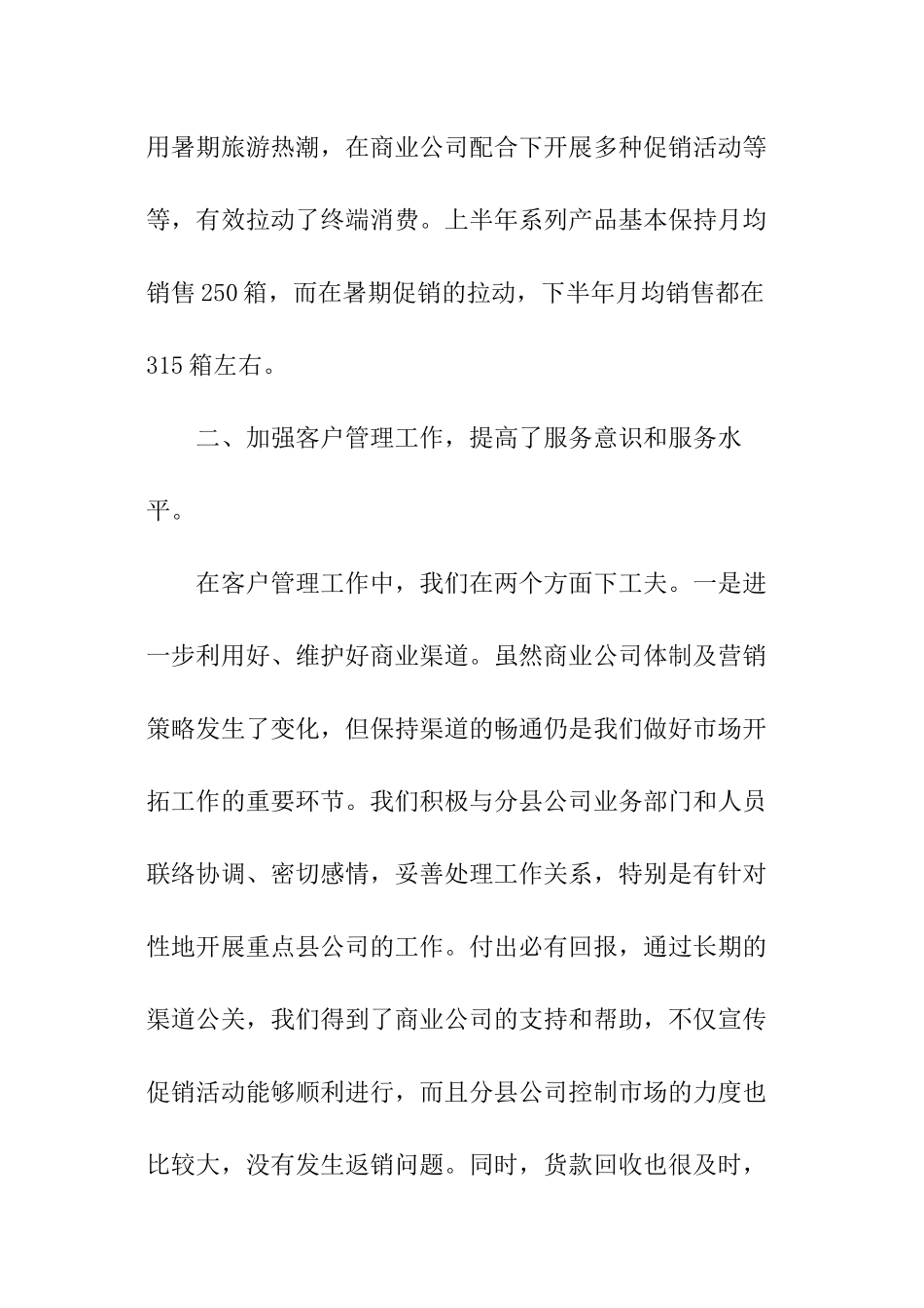 大区经理的工作报告_第2页