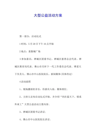 大型公益活动方案