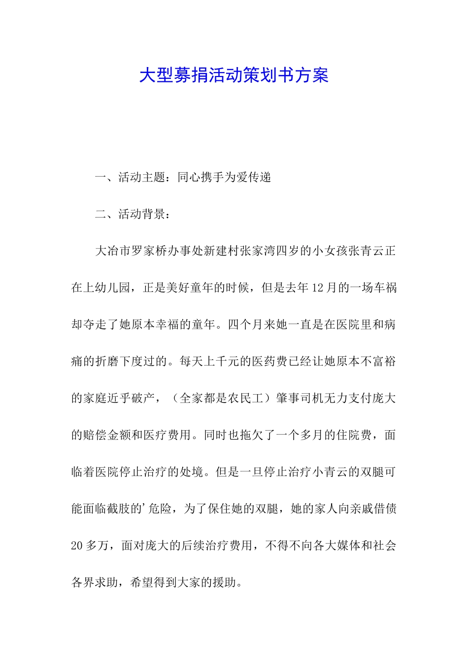 大型募捐活动策划书方案_第1页