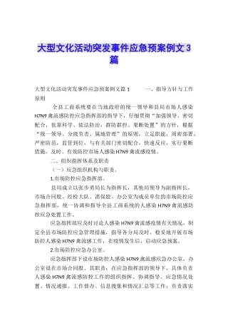 大型文化活动突发事件应急预案例文3篇