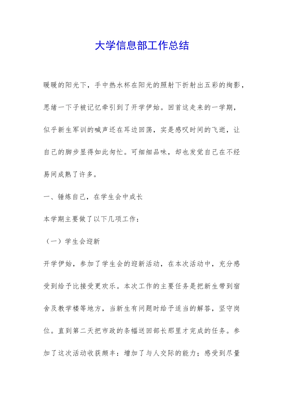 大学信息部工作总结-_第1页