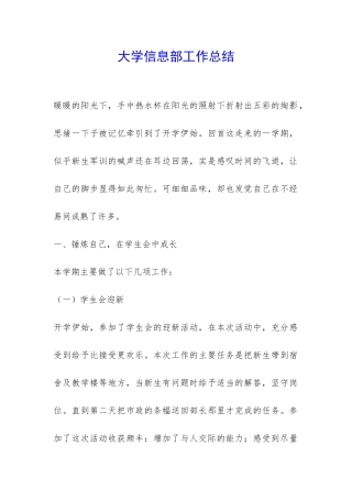 大学信息部工作总结-