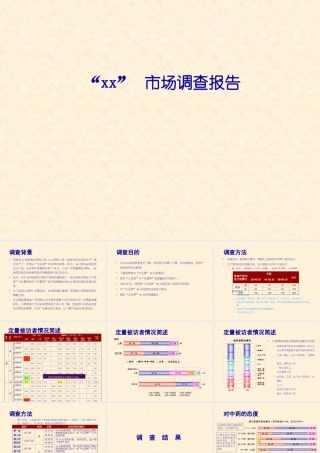 “xx” 肾虚中药市场调查报告