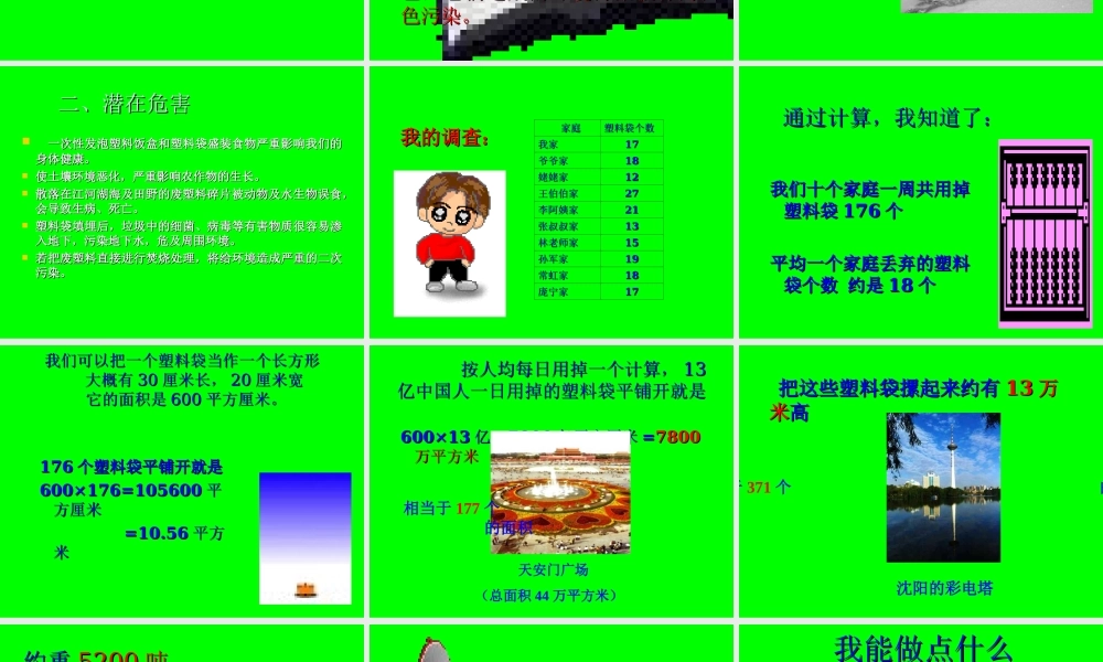 “白色污染”调查报告