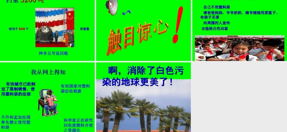 “白色污染”调查报告