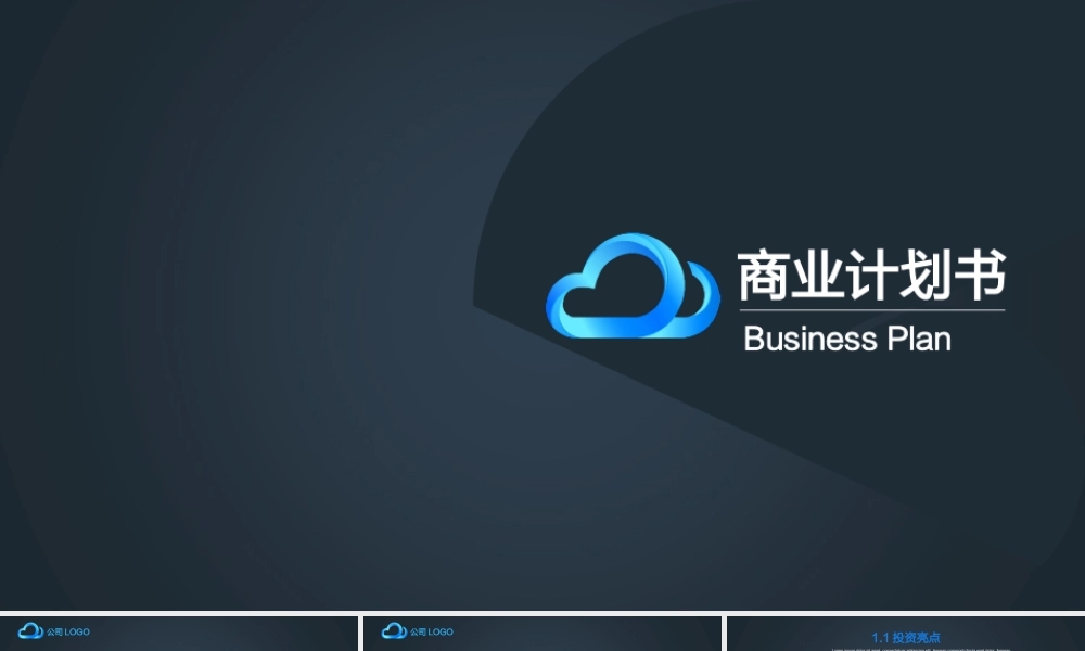 【商业计划书】(暗黑版)