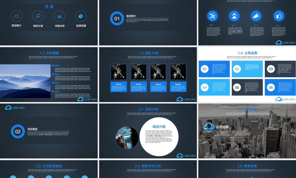 【商业计划书】(暗黑版)