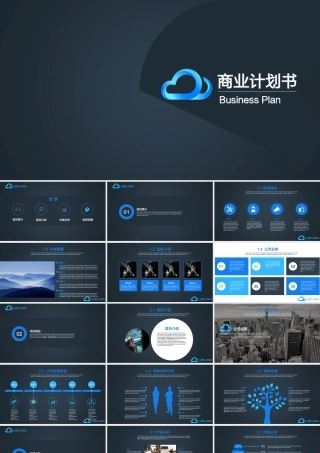 【商业计划书】(暗黑版)