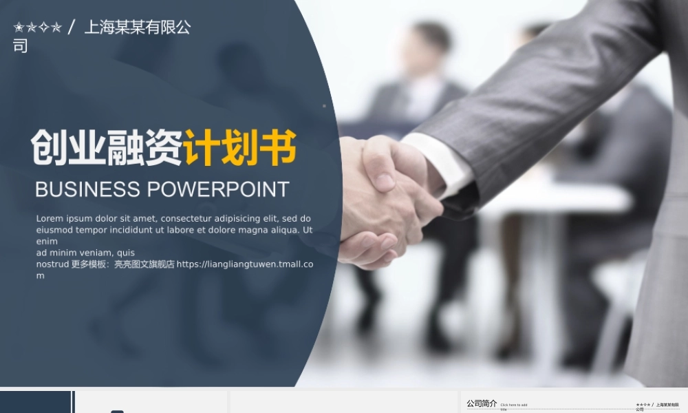 【商业计划书】(创业融资计划书)