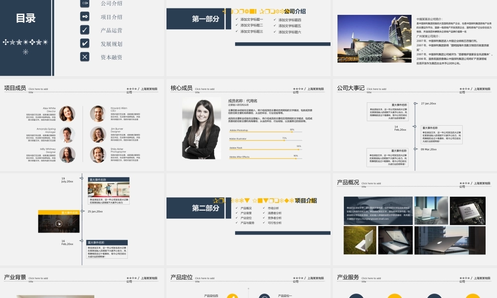 【商业计划书】(创业融资计划书)