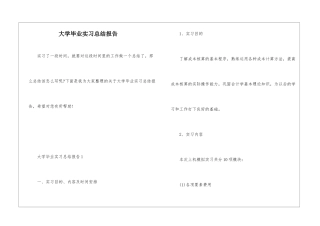 大学毕业实习总结报告
