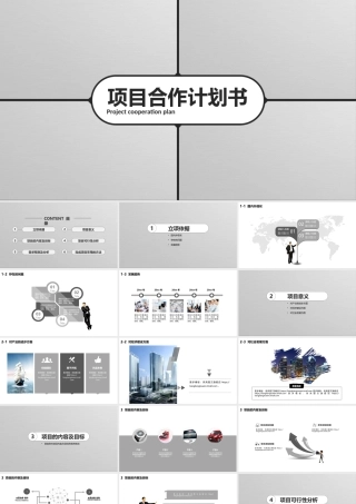【商业计划书】(项目合作计划书)