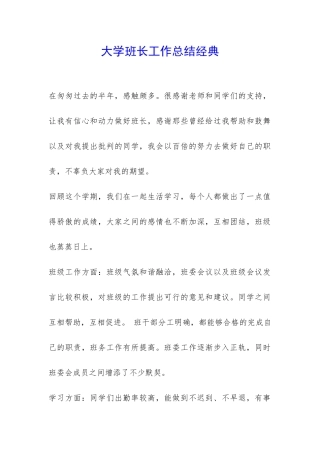 大学班长工作总结经典-