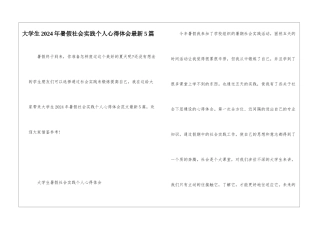 大学生2024年暑假社会实践个人心得体会最新5篇