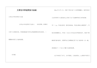 大学生中学教师实习总结