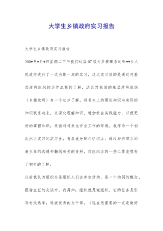 大学生乡镇政府实习报告-