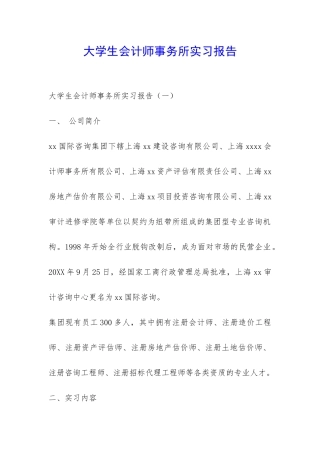 大学生会计师事务所实习报告-