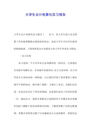 大学生会计电算化实习报告