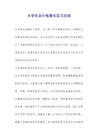 大学生会计电算化实习总结-