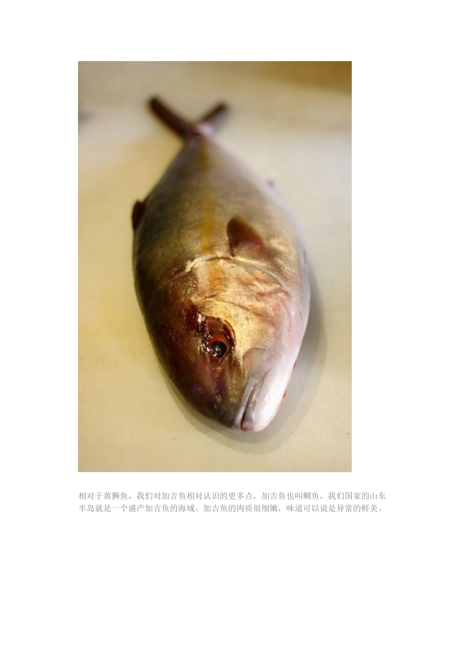刺身分割流程_第3页