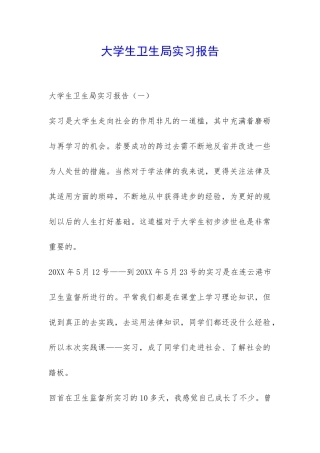 大学生卫生局实习报告-