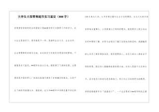 大学生大型零售超市实习鉴定
